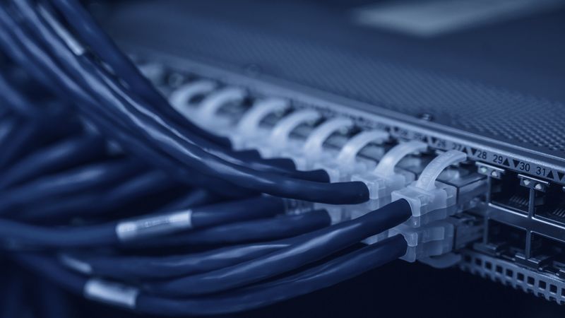 A network patch panel with blue cabling ordered across an equipment rack.